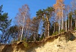 К юбилею краеведческого музея: встреча  с мечтой